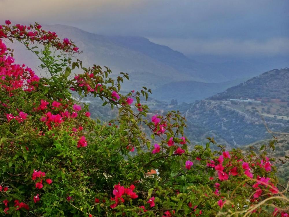 Crete Mountainside - Crete Escapes